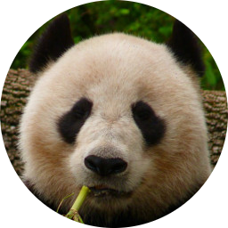 Panda siger velkommen